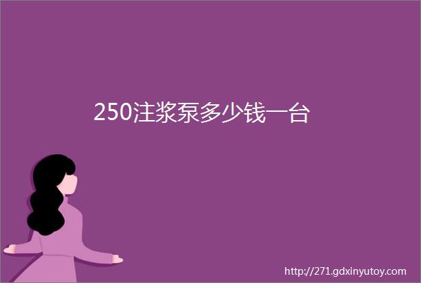 250注浆泵多少钱一台